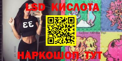 СК Вязьма