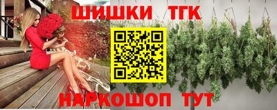 СК Вязьма