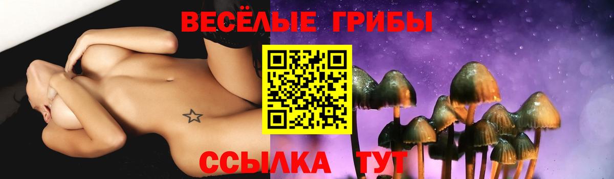 Галлюциногенные грибы GOLDEN TEACHER Ржев